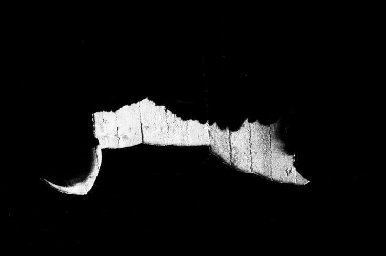 BLANCO Y NEGRO